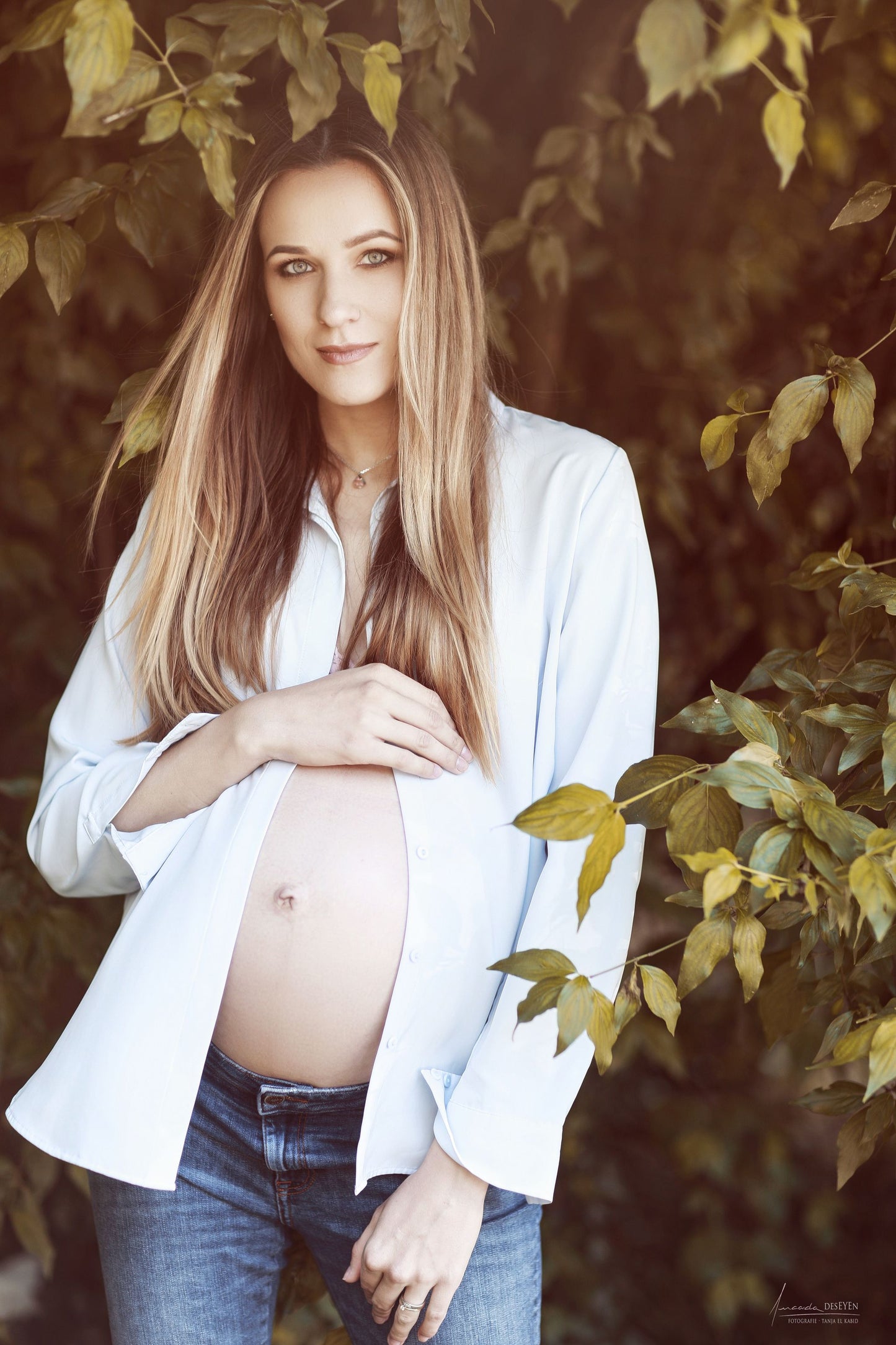 Babybauch
